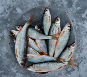 health benefits of fish