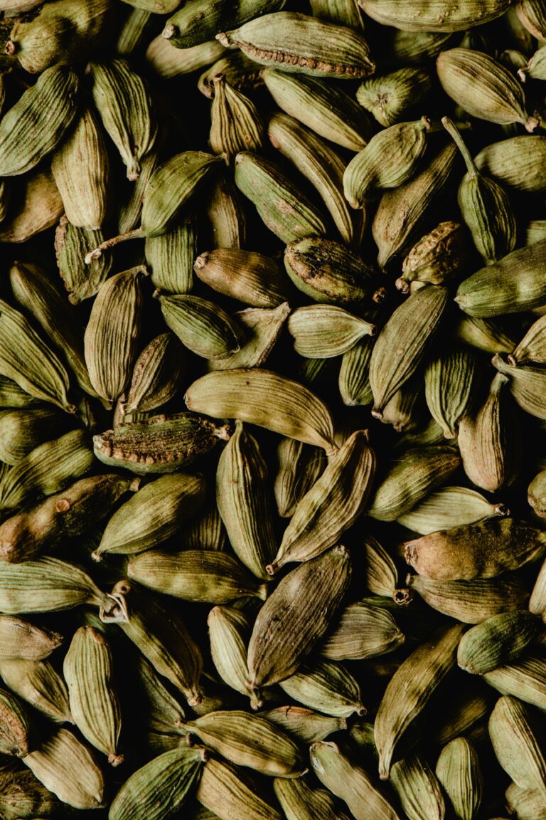 health benefits of cardamom