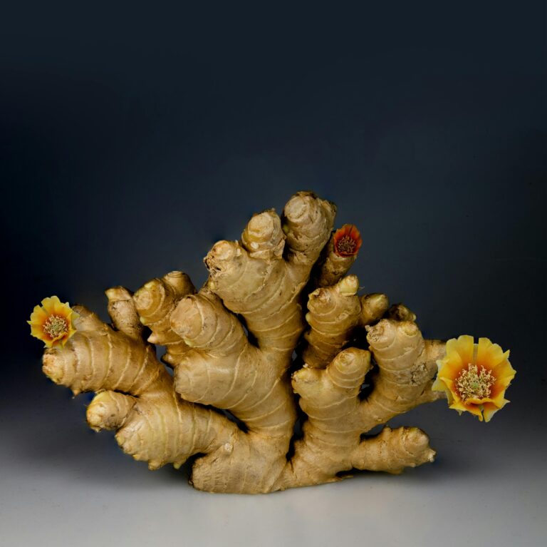health benefits of ginger